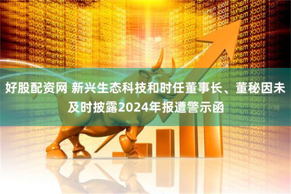 好股配资网 新兴生态科技和时任董事长、董秘因未及时披露2024年报遭警示函