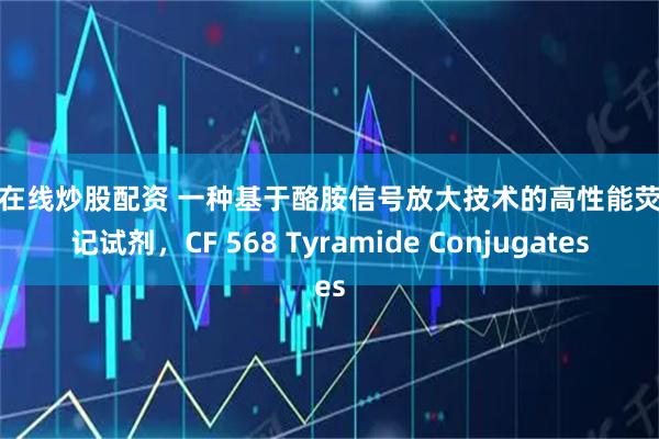 配资在线炒股配资 一种基于酪胺信号放大技术的高性能荧光标记试剂，CF 568 Tyramide Conjugates