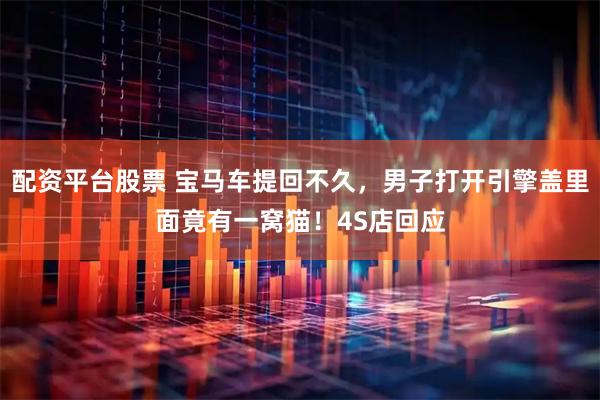 配资平台股票 宝马车提回不久，男子打开引擎盖里面竟有一窝猫！4S店回应